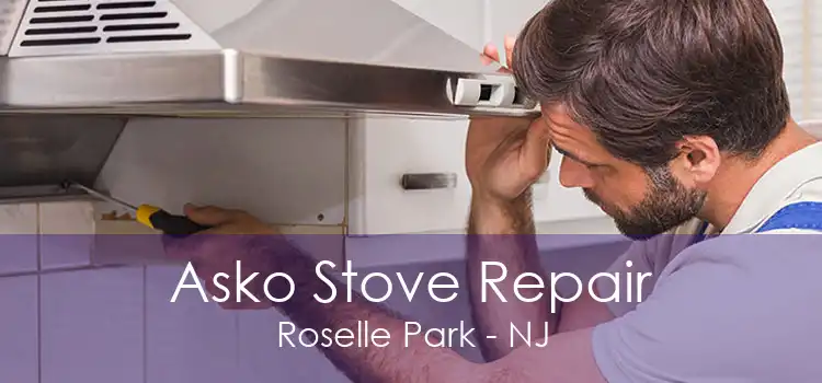 Asko Stove Repair Roselle Park - NJ