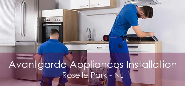 Avantgarde Appliances Installation Roselle Park - NJ