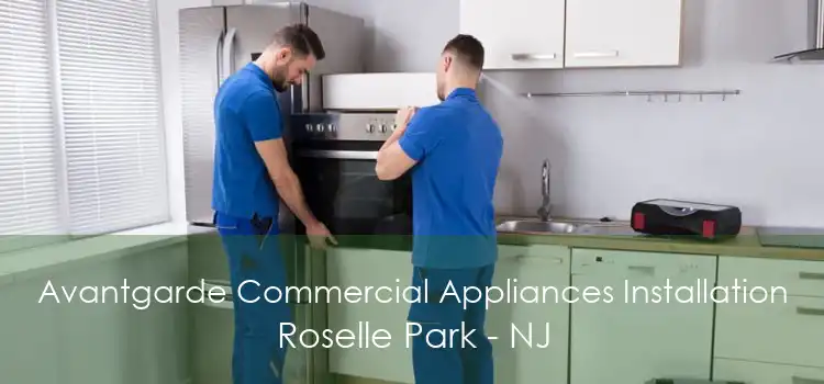 Avantgarde Commercial Appliances Installation Roselle Park - NJ