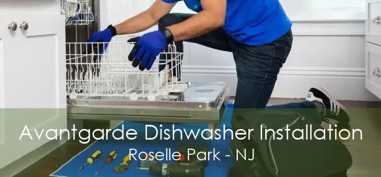 Avantgarde Dishwasher Installation Roselle Park - NJ