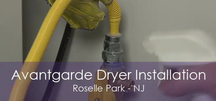 Avantgarde Dryer Installation Roselle Park - NJ