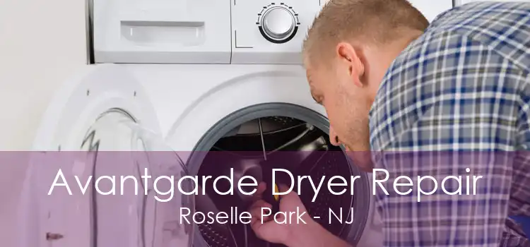 Avantgarde Dryer Repair Roselle Park - NJ