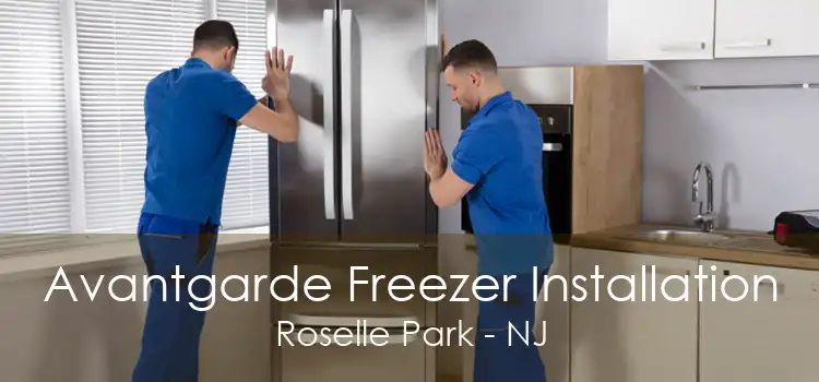 Avantgarde Freezer Installation Roselle Park - NJ