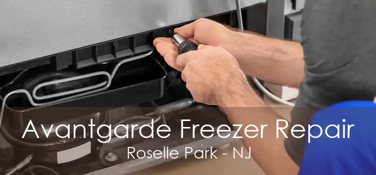 Avantgarde Freezer Repair Roselle Park - NJ