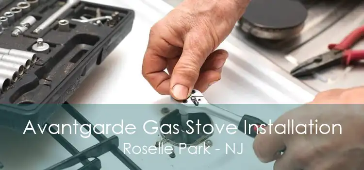 Avantgarde Gas Stove Installation Roselle Park - NJ