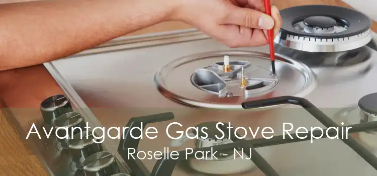 Avantgarde Gas Stove Repair Roselle Park - NJ