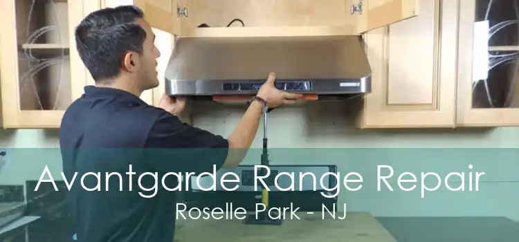 Avantgarde Range Repair Roselle Park - NJ