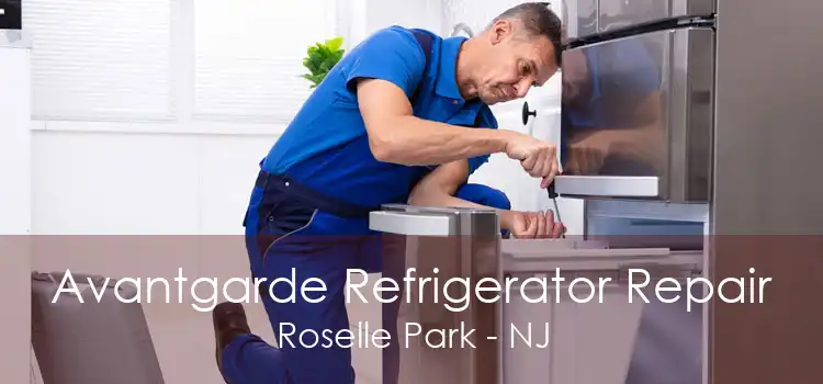 Avantgarde Refrigerator Repair Roselle Park - NJ