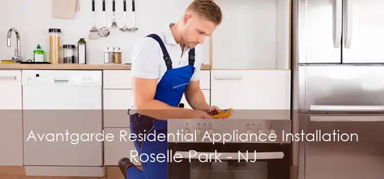 Avantgarde Residential Appliance Installation Roselle Park - NJ