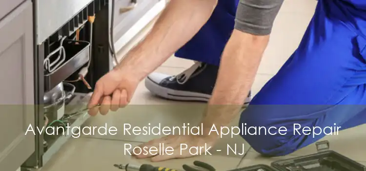 Avantgarde Residential Appliance Repair Roselle Park - NJ
