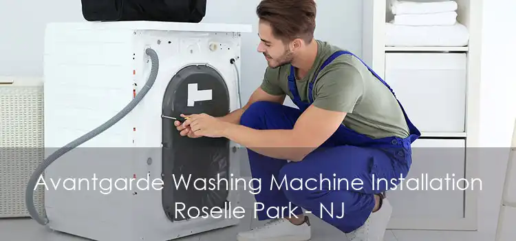 Avantgarde Washing Machine Installation Roselle Park - NJ