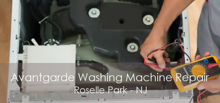 Avantgarde Washing Machine Repair Roselle Park - NJ