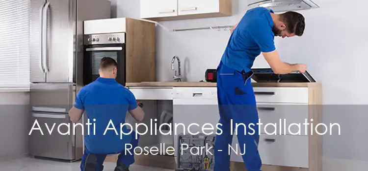 Avanti Appliances Installation Roselle Park - NJ