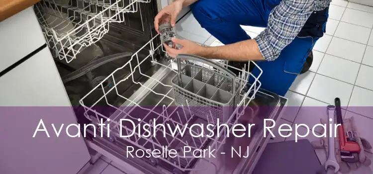 Avanti Dishwasher Repair Roselle Park - NJ