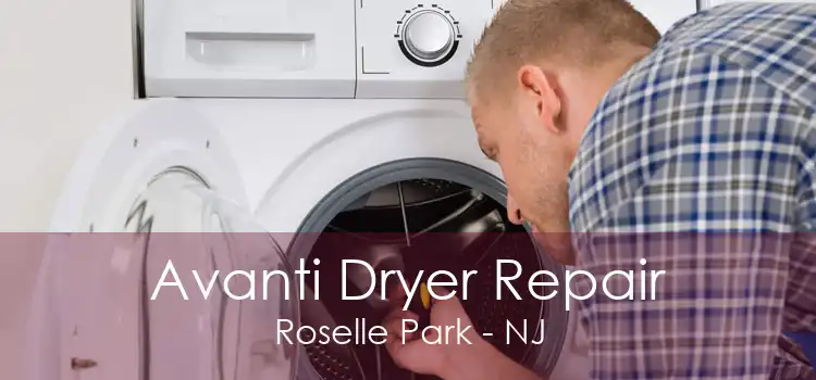 Avanti Dryer Repair Roselle Park - NJ