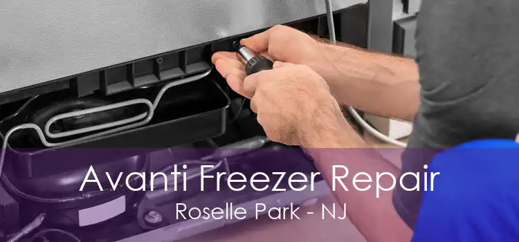 Avanti Freezer Repair Roselle Park - NJ
