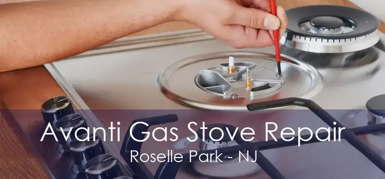 Avanti Gas Stove Repair Roselle Park - NJ