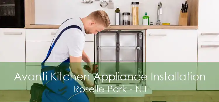 Avanti Kitchen Appliance Installation Roselle Park - NJ