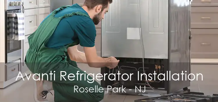 Avanti Refrigerator Installation Roselle Park - NJ