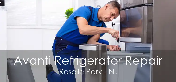 Avanti Refrigerator Repair Roselle Park - NJ