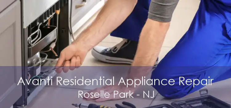 Avanti Residential Appliance Repair Roselle Park - NJ