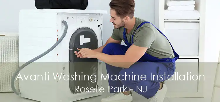 Avanti Washing Machine Installation Roselle Park - NJ