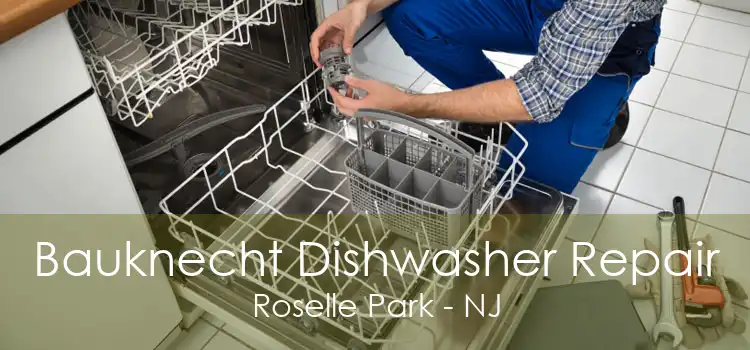 Bauknecht Dishwasher Repair Roselle Park - NJ