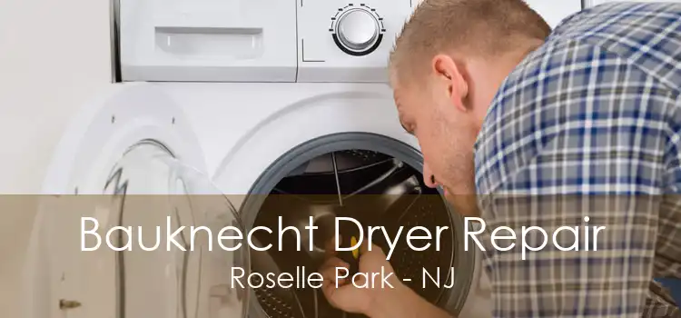 Bauknecht Dryer Repair Roselle Park - NJ