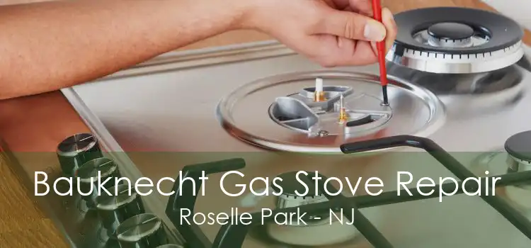 Bauknecht Gas Stove Repair Roselle Park - NJ