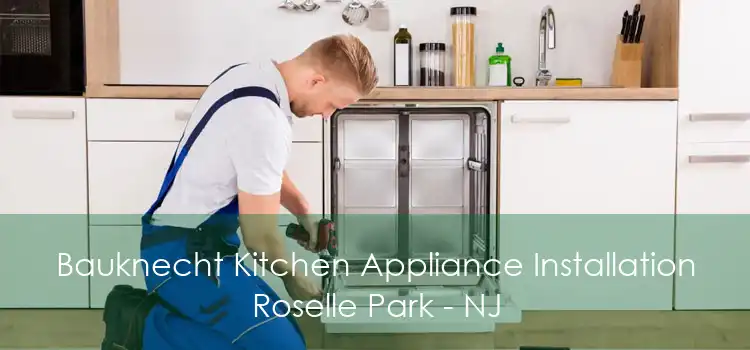 Bauknecht Kitchen Appliance Installation Roselle Park - NJ