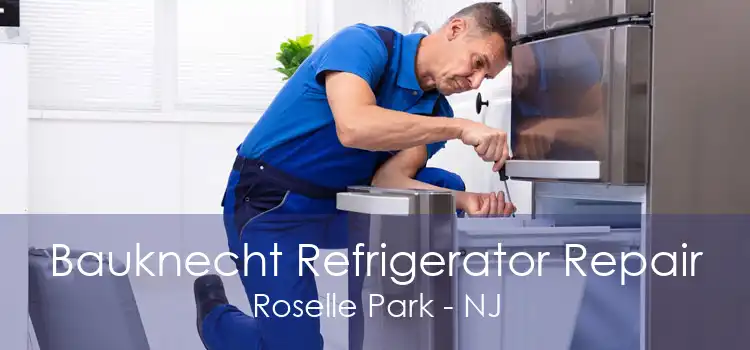 Bauknecht Refrigerator Repair Roselle Park - NJ