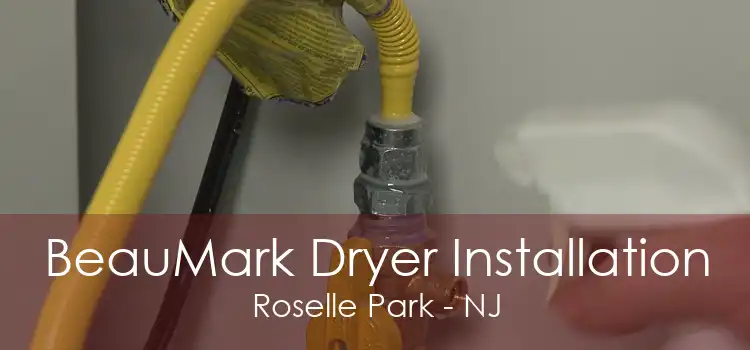 BeauMark Dryer Installation Roselle Park - NJ