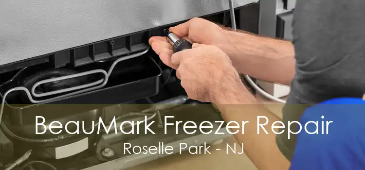 BeauMark Freezer Repair Roselle Park - NJ