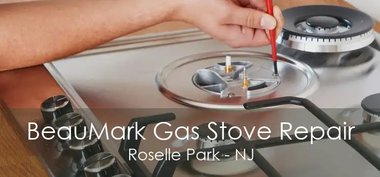 BeauMark Gas Stove Repair Roselle Park - NJ