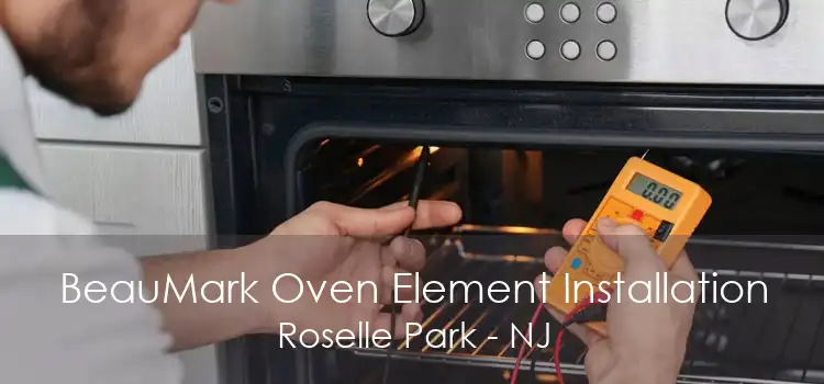 BeauMark Oven Element Installation Roselle Park - NJ