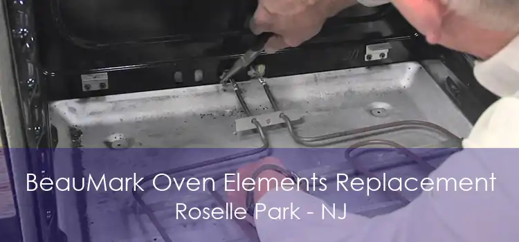 BeauMark Oven Elements Replacement Roselle Park - NJ