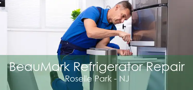 BeauMark Refrigerator Repair Roselle Park - NJ