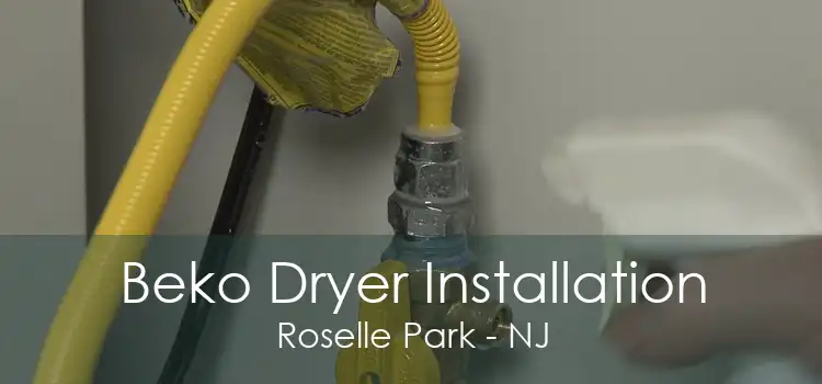 Beko Dryer Installation Roselle Park - NJ