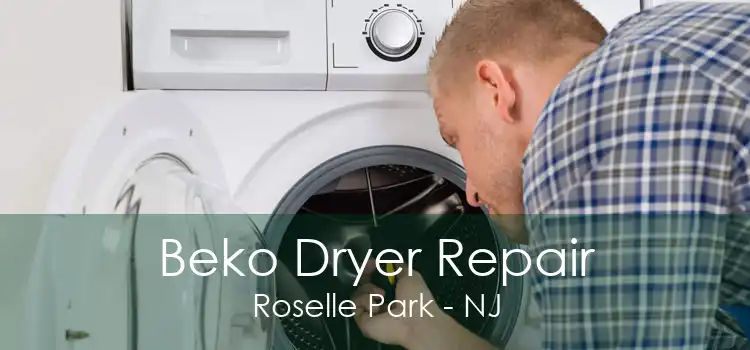 Beko Dryer Repair Roselle Park - NJ