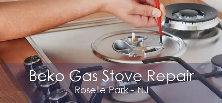 Beko Gas Stove Repair Roselle Park - NJ
