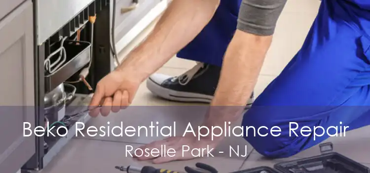 Beko Residential Appliance Repair Roselle Park - NJ