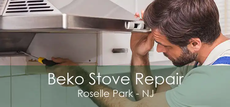 Beko Stove Repair Roselle Park - NJ
