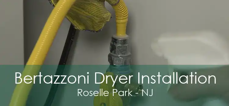 Bertazzoni Dryer Installation Roselle Park - NJ