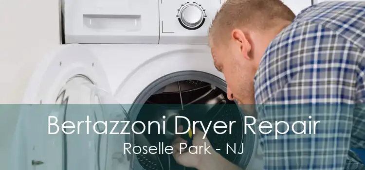 Bertazzoni Dryer Repair Roselle Park - NJ