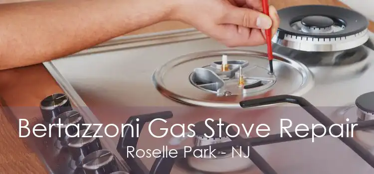 Bertazzoni Gas Stove Repair Roselle Park - NJ