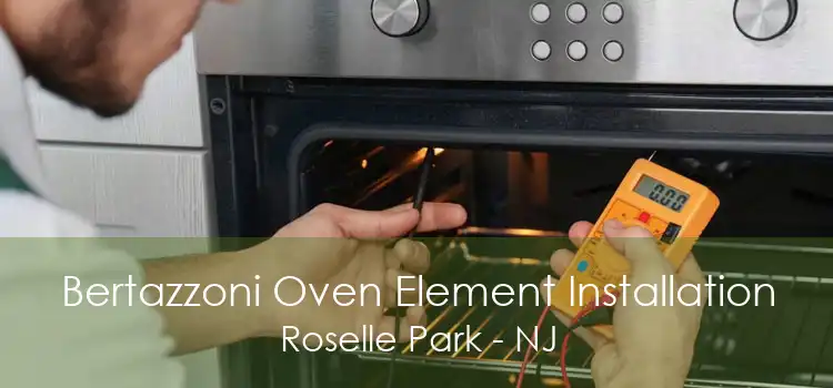 Bertazzoni Oven Element Installation Roselle Park - NJ