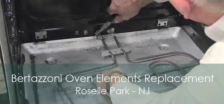 Bertazzoni Oven Elements Replacement Roselle Park - NJ