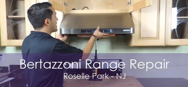 Bertazzoni Range Repair Roselle Park - NJ