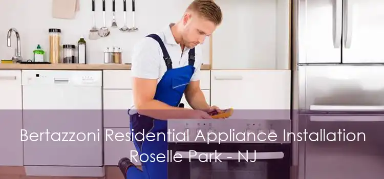 Bertazzoni Residential Appliance Installation Roselle Park - NJ