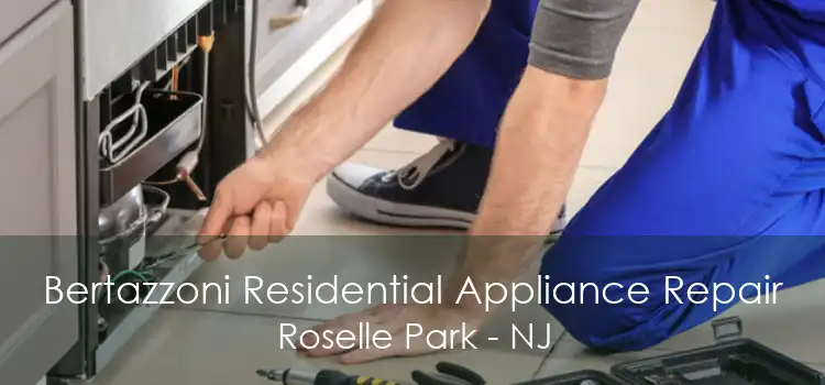 Bertazzoni Residential Appliance Repair Roselle Park - NJ